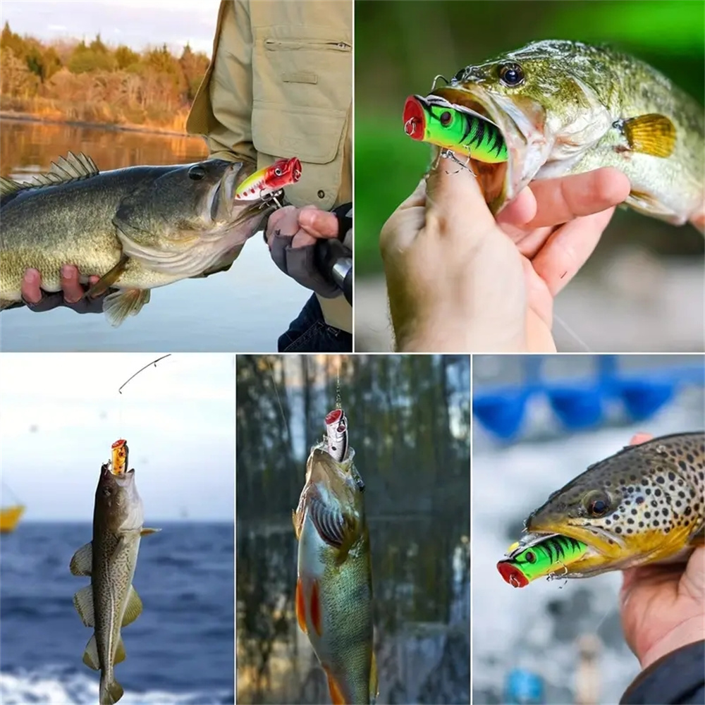 เหยื่อตกปลาแบบป๊อปเปอร์ 5 ชิ้น - Fishing Lure Popper บทวิจารณ์และราคา